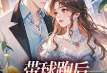 带球跑后，我成了万人迷宋成彦姜棉完结小说推荐，带球跑后，我成了万人迷全章小说阅读-木头文学