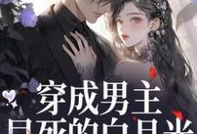 穿成男主早死的白月光？我不干了推荐完结小说，穿成男主早死的白月光？我不干了谢观砚林茉免费小说全本-木头文学