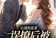 (全文)误撩后被大佬宠上天（许惟昭方肃礼）全本书籍阅读误撩后被大佬宠上天免费小说全本-木头文学