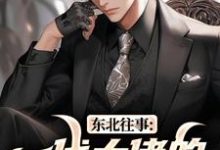 王晨马三东北往事:一代大佬的成功之路全本免费在线阅读-木头文学