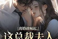 离婚就崛起，这总裁夫人她不做了苏心瑶南羽陌完结小说推荐，离婚就崛起，这总裁夫人她不做了全章小说阅读-木头文学