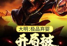 大明：极品弃婴，开局被老朱捡回家（朱炫）全本书籍阅读大明：极品弃婴，开局被老朱捡回家完整版小说-木头文学