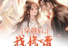 穿越后，我惨遭主角团抛弃穆长安宋律完结小说推荐，穿越后，我惨遭主角团抛弃全章小说阅读-木头文学