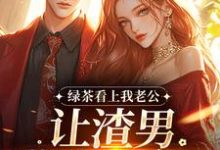 (全文)绿茶看上我老公,让渣男哄我私奔?免费小说全本,沈延仲舒玉兰试读更新章节-木头文学