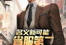 (全文)名义新可能：省服第二能否逆转大局萧承李妙灵完结小说推荐名义新可能：省服第二能否逆转大局试读更新章节-木头文学