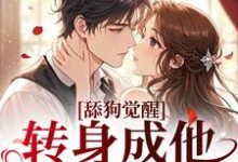 舔狗觉醒，转身成他高攀不起（舒念沈晏宸）全本书籍阅读舔狗觉醒，转身成他高攀不起完整版小说-木头文学