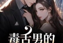 毒舌男的温柔攻势（盛京御宋听晚）全章小说阅读-木头文学