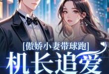 (全文)傲娇小妻带球跑，机长追爱不停歇（顾予琛徐歆薇）全本书籍阅读傲娇小妻带球跑，机长追爱不停歇免费小说全本-木头文学