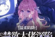 (全文)温柔陷阱：禁欲大佬深陷追妻修罗场热门小说排行榜，温柔陷阱：禁欲大佬深陷追妻修罗场温荣仓央嘉措全章小说阅读-木头文学
