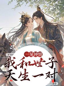 (全文)一见钟情，我和世子天生一对(沈如风苏云锦)全本免费在线阅读