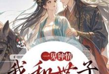 (全文)一见钟情,我和世子天生一对完结小说推荐沈如风苏云锦全本书籍阅读-木头文学