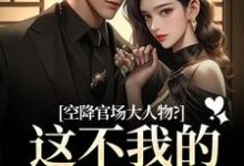 空降官场大人物？这不我的裙下臣吗顾杳周政良热门小说排行榜空降官场大人物？这不我的裙下臣吗免费小说-木头文学