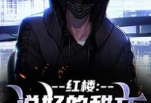 (全文)红楼:说好的甜文咋变恐怖文了齐洛全本免费在线阅读-木头文学