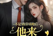 (全文)不是！我带球跑后他来强娶豪夺热门小说排行榜，不是！我带球跑后他来强娶豪夺周静书傅聿呈全章小说阅读-木头文学