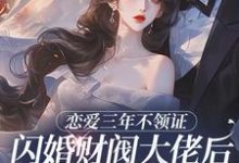(全文)恋爱三年不领证，闪婚财阀大佬后他急疯免费小说全本，苏婠周衍焱试读更新章节-木头文学
