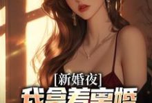 新婚夜，我拿着离婚协议黯然离场完整版小说新婚夜，我拿着离婚协议黯然离场(叶修远白若雪)全章小说阅读-木头文学