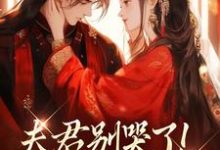 (全文)夫君别哭了！我来替你虐渣沈婉宁韩云泽完结小说推荐夫君别哭了！我来替你虐渣试读更新章节-木头文学
