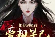 (全文)恨你到极致，爱却早已深入骨髓(苏婉江忱序)全本免费在线阅读-木头文学