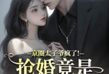 京圈太子爷疯了！抢婚竟是蓄谋已久完整版小说，京圈太子爷疯了！抢婚竟是蓄谋已久陆妄辞虞晚颜试读更新章节-木头文学