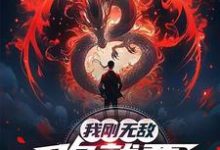 (全文)我刚无敌，你就要跟我退婚？（苏阳）试读更新章节我刚无敌，你就要跟我退婚？免费小说-木头文学