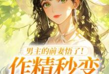 男主的前妻悟了！作精秒变粘人精完整版小说，男主的前妻悟了！作精秒变粘人精许岁宁霍青山试读更新章节-木头文学
