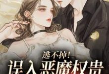 (全文)逃不掉！误入恶魔权贵的游戏世界(宋初池费勒)全本免费在线阅读-木头文学