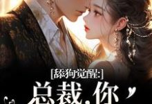 舔狗觉醒:总裁,你只是个替身许瑾禾裴景之热门小说排行榜舔狗觉醒:总裁,你只是个替身免费小说-木头文学