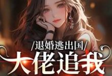(全文)退婚逃出国,大佬追我满世界跑热门小说排行榜,退婚逃出国,大佬追我满世界跑江野崎楚灵兮全章小说阅读-木头文学