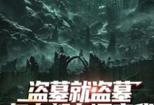 盗墓就盗墓,怎么都在调查我(吴邪白小白)小说推荐盗墓就盗墓,怎么都在调查我全章小说阅读-木头文学