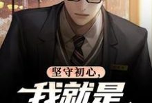 (全文)坚守初心，我就是基层清官完结小说推荐丁俊丰贺征全本书籍阅读-木头文学