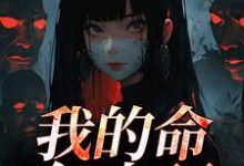 我的命亿点硬完整版小说我的命亿点硬(何皎苏清槐)全章小说阅读-木头文学