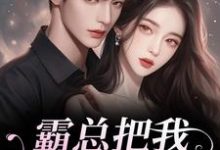 (全文)霸总把我当替身后，他真的后悔了免费小说全本，白筱帆盛延试读更新章节-木头文学