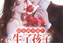 暗恋我不说？生了孩子我才知跑不掉（周京年陈禾）全本书籍阅读暗恋我不说？生了孩子我才知跑不掉完整版小说-木头文学