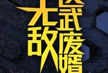 无敌医武废婿秦铭最新完结小说，无敌医武废婿全本免费在线阅读-木头文学