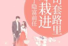 甩了隐富前任，却栽进上司套路里热门小说排行榜甩了隐富前任，却栽进上司套路里林昭陆景淮免费小说全本-木头文学