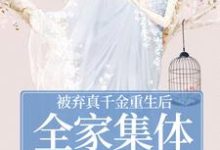(全文)被弃真千金重生后,全家集体变舔狗完结小说推荐温意晚裴予珩全本书籍阅读-木头文学