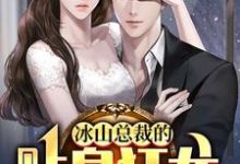 (全文)冰山总裁的贴身狂龙沈念全本免费在线阅读-木头文学