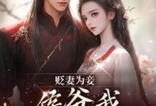 (全文)贬妻为妾，侯爷我不伺候啦热门小说排行榜，贬妻为妾，侯爷我不伺候啦慎如余启全章小说阅读-木头文学