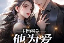 闪婚霸总，他为爱抛弃一切完整版小说，闪婚霸总，他为爱抛弃一切苏绿柔厉墨焱试读更新章节-木头文学