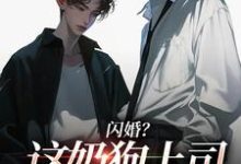 (全文)闪婚？这奶狗上司真难缠赵芜鱼邓北辰完结小说推荐闪婚？这奶狗上司真难缠试读更新章节-木头文学