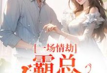 一场情劫，霸总追妻不休推荐完结小说，一场情劫，霸总追妻不休梁怀茵卓靖诗免费小说全本-木头文学