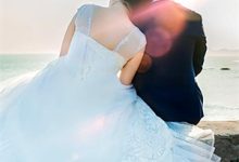 沈禾重生：腹黑女主她携霸总而来全本免费在线阅读-木头文学