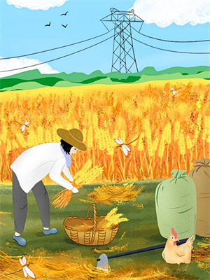(全文)手握医术，我在乡村变神医（杨小军）试读更新章节手握医术，我在乡村变神医免费小说