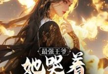 最强王爷：她哭着跟我求和热门小说排行榜最强王爷：她哭着跟我求和杨凡免费小说全本-木头文学