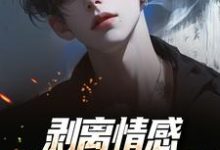 剥离情感,你我用不相爱推荐完结小说,剥离情感,你我用不相爱陆琛免费小说全本-木头文学