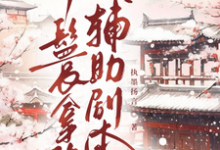 丫鬟拿稳辅助剧本最新完结小说丫鬟拿稳辅助剧本傅初霁免费小说-木头文学