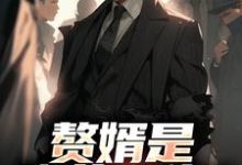 (全文)赘婿是隐藏大佬?前妻哭晕萧别离全本免费在线阅读-木头文学