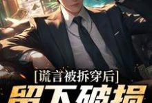 谎言被拆穿后，留下破损的婚姻张齐热门小说排行榜谎言被拆穿后，留下破损的婚姻免费小说-木头文学