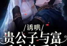 诱哄：贵公子与富千金的爱恋热门小说排行榜诱哄：贵公子与富千金的爱恋沈漾免费小说全本-木头文学