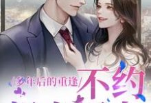 禾念安池少东多年后的重逢，不约，姐有男友全本免费在线阅读-木头文学